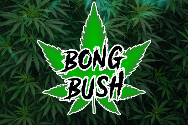 bong bush